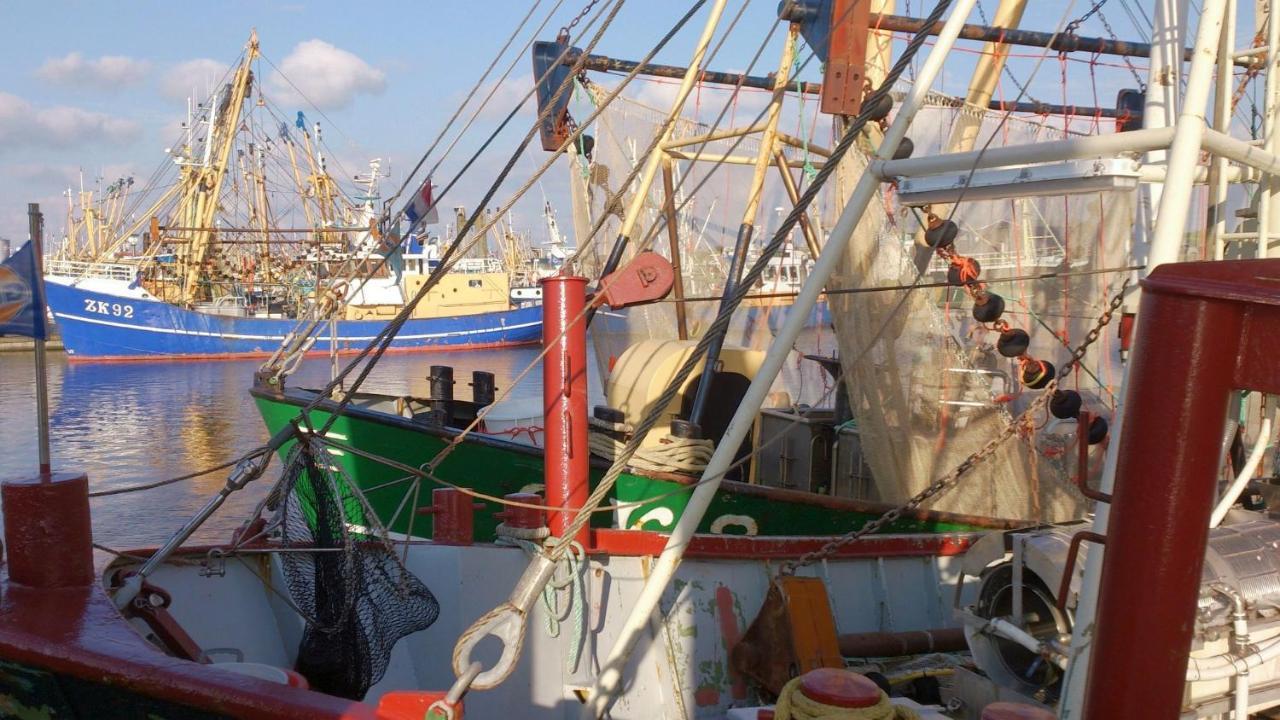 Sea La Vie Villa Lauwersoog Eksteriør bilde
