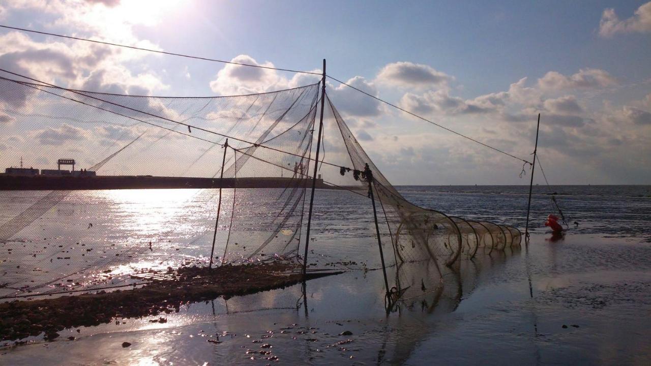 Sea La Vie Villa Lauwersoog Eksteriør bilde