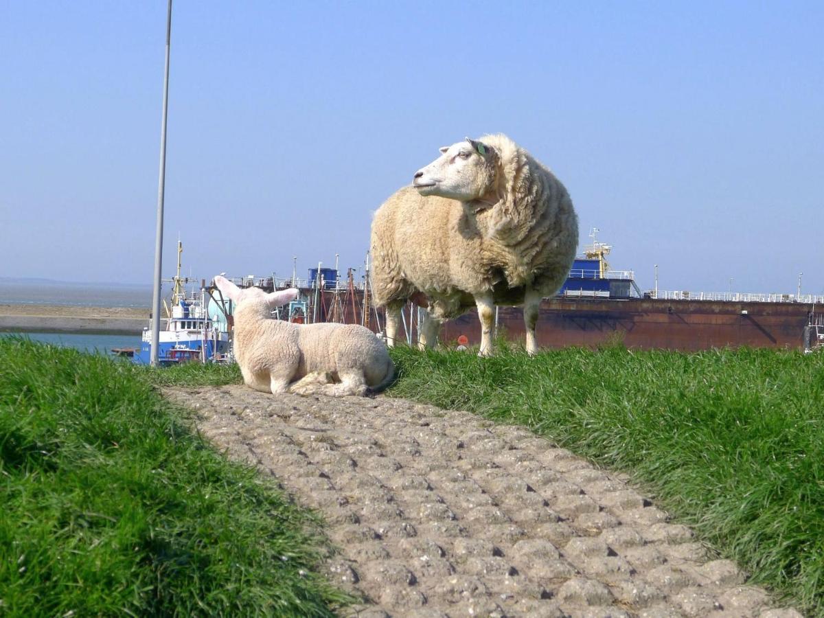 Sea La Vie Villa Lauwersoog Eksteriør bilde