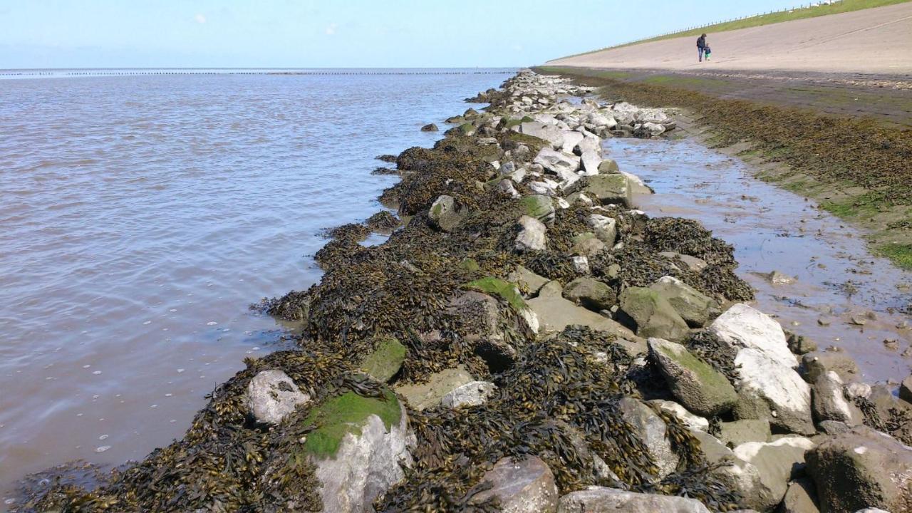 Sea La Vie Villa Lauwersoog Eksteriør bilde